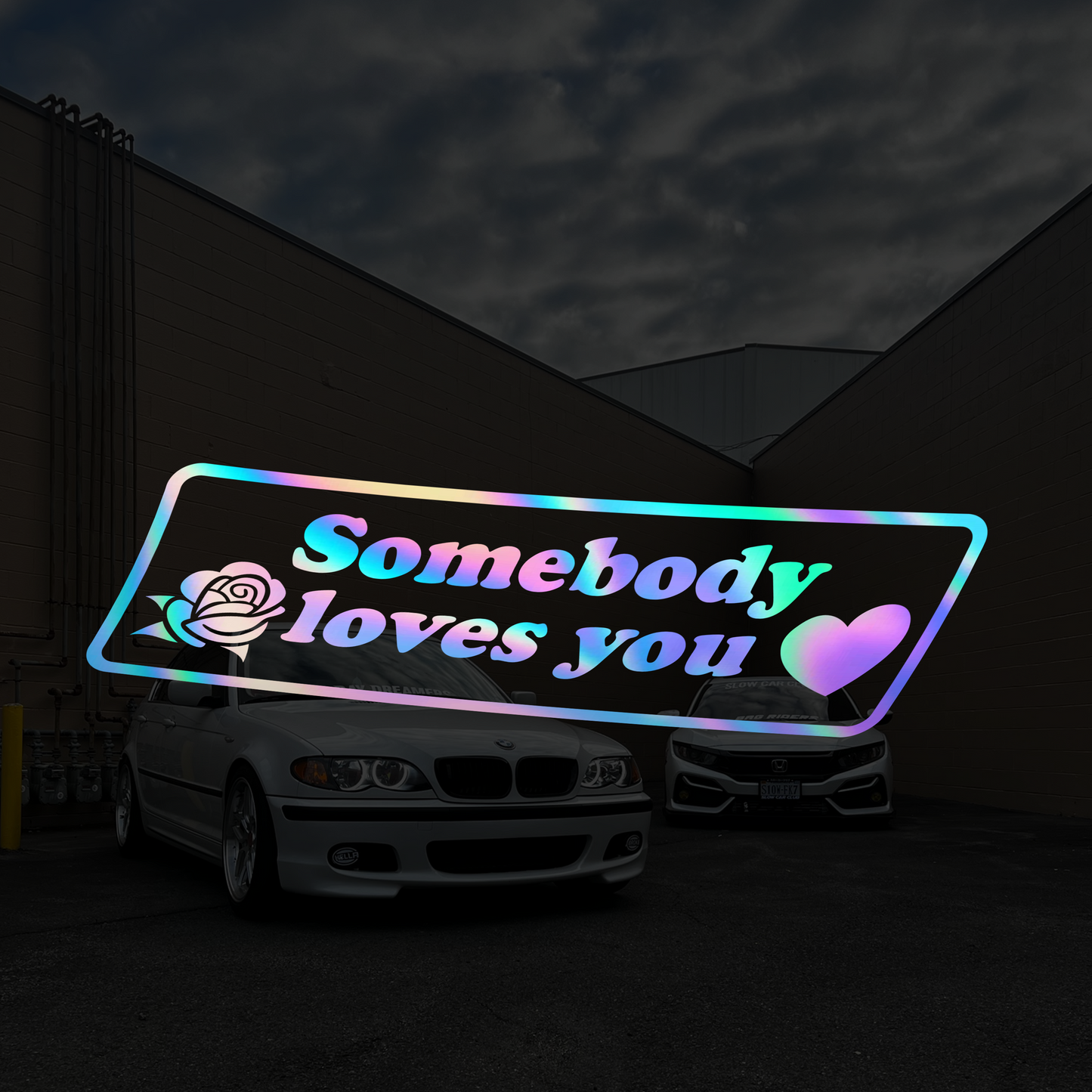 Somebody Loves You